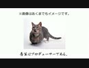 【NovelsM@ster】吾輩はプロデューサーである。　第四話