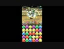パズドラ　アテナ降臨　ネテロパーティーノーコン