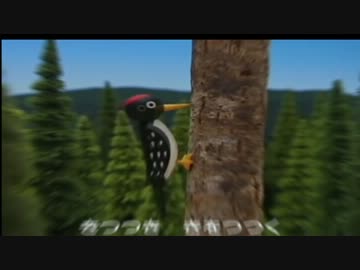 きつつきくん.mp4