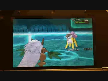 ポケモンXY実況　晴れ男がランダムフリーに陽を当てる！