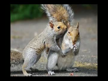 反日するくせに韓国が日本に助けを求める驚きの理由が判明！！