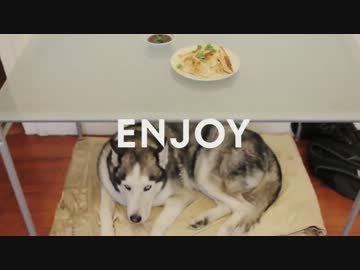 Simple Recipes 001: Thanksgiving Dumplings