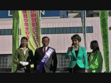 【2014/1/27】田母神としお候補錦糸町街宣4【都知事選挙】