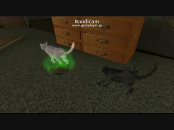 お昼寝でごきげんの黒猫と白猫。