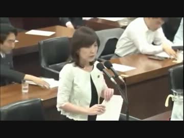 【まつぞえ 涙目】稲田朋美が外国人参政権を完全論破