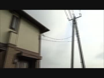 人間大好きツバメ～Human love Swallow