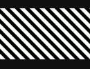 表示テスト動画 768x432