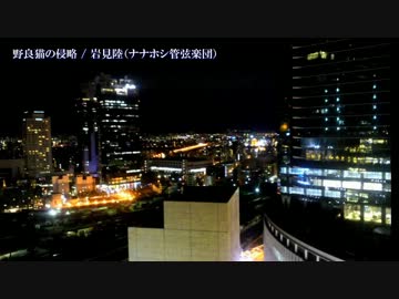 【ニコカラ】野良猫の侵略【on_v】