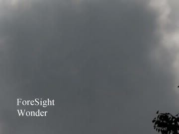 【ニコラップ】Wonder【ForeSight】