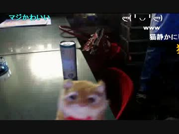 20140129 暗黒放送Ｑ　検査の結果ほぼ緑内障になった放送 3/3