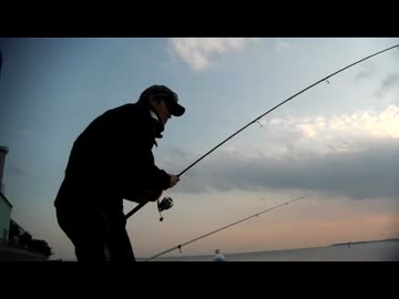 バイクで釣りに行こう♪　part14 【カレイ】