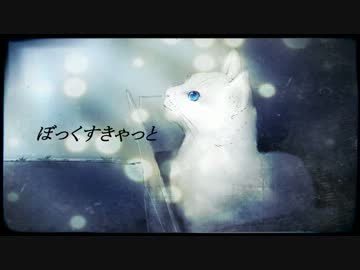 ぼっくすきゃっと【NNIオリジナル】