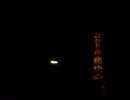 とぅないとをわんだふるした。