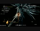 【55分52秒】黒騎士の斧槍　赤涙　モバグルート⑤【ダークソウルRTA最速】