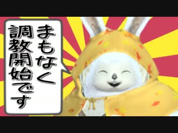 【PSO2】宇宙の泉防衛戦