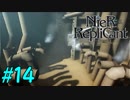 【実況】兄妹愛溢れるゲームをプレイ【ニーアレプリカント】part14
