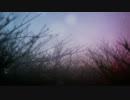 【オリジナルMV】『花曇』【ver.ぐれ×青トンボ】