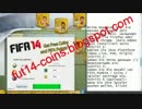 fut coins
