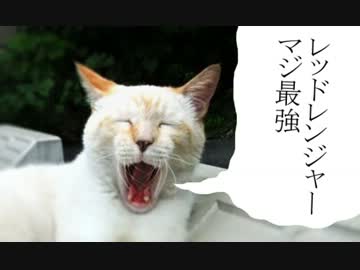抑えがたいほどの眠気
