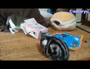 箱入り猫と見守る猫
