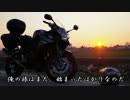 CBR250Rと東奔西走ツーリングFinal　～1万6千ｋｍの旅の果て～