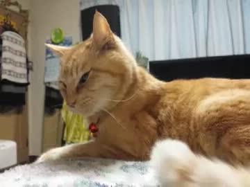 お夜食が出るのをじっと待つ