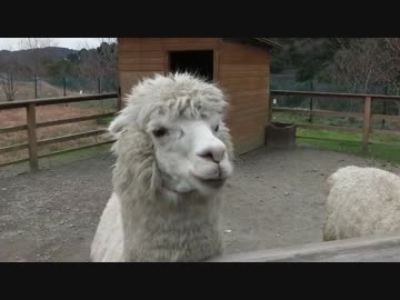 長崎バイオパークに行ってきたばい