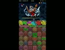 パズドラ  新・無限回廊 極光太陽神・ラー49pt