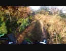初めての林道走行　～愛知・三ヶ根山～