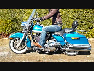 【エスコンMAD】大型免許取得記念　車輌紹介【ハーレー】