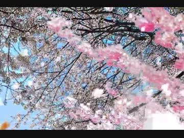 【オリジナル曲】さよならシーズン【AquesTone2】
