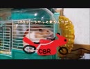 CBR250Rを復活させて走りたい！④