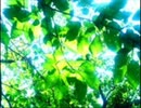 君と共に.wmv