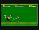 【テペ】スーパーペーパーマリオ part30