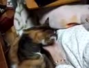おて☆