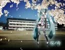 【歌ってみた】桜ノ雨【桜音　悠】