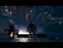 【ダークソウル】三流ボクサーが全プロを倒しながら７周目攻略【ROUND13】