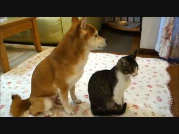 ちょっぴり近づいたいちごとミルキー