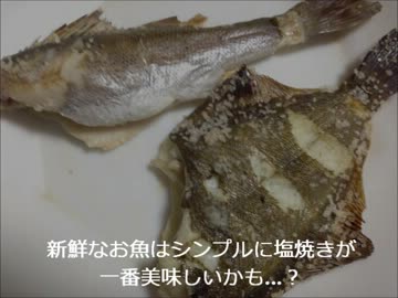 【かーびーの釣り日記】⑲カレイとセイゴ＠木曽川河口