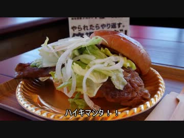 【3000円バーガー】とっとこ兵庫県ツーリング６【淡路島】