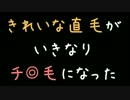 きれいな直毛がいきなりチ◎毛になった【2ch】