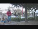 2013年11月11日 国立神社巡りと謎の張り紙 Part3