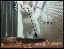 アニメgif風＠べ