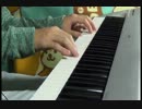 【ピアノ】「カゲロウデイズ」を静かに弾いてみた