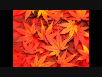 [Trance] 紅 [NNI]