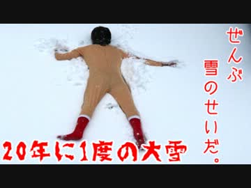 【2014/2/8】雪が降ったので、遊んでみた【大雪】