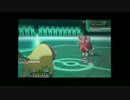 【ポケモンXY】 New ぎゅうた　がフリーバトル 【対戦実況】