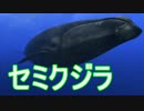 【AQUANAUT'S HOLIDAY】美しい海でどんどこ探索　09