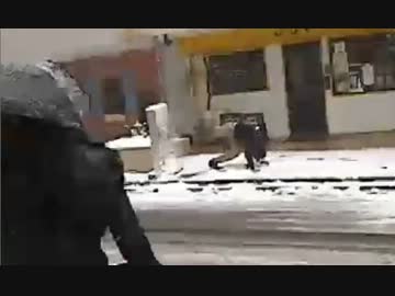 20140208 Gamboo生放送で雪と戯れる横山緑