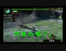 【MHP3rd】協力できない初心者集団が実況―無双の狩人編―